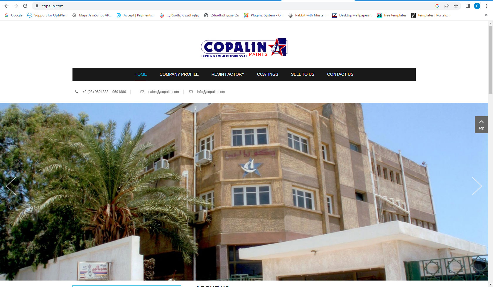 Copalin Paints